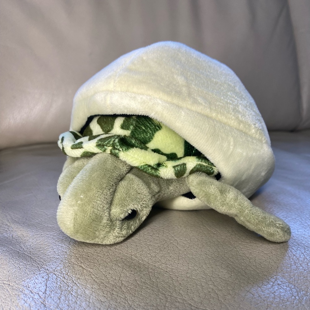 8" Adopt a Baby Turtle - Fiesta Toy Stuff